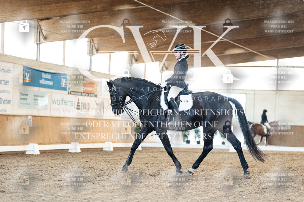 CK906997 | Turnierfotografie Pferdefotografie Trier Rheinland-Pfalz Pferdesport Reitsport Tierfotografie Sportfotografie Pferdevideo Pferdevideografie Equestrianvideography equestrianphotography  - Realisiert mit Pictrs.com