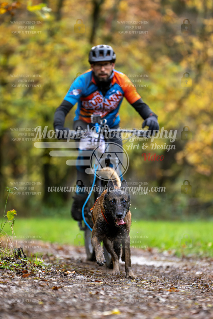 MompixPhotography_Bischwiller23_Bike-6 | PayLife