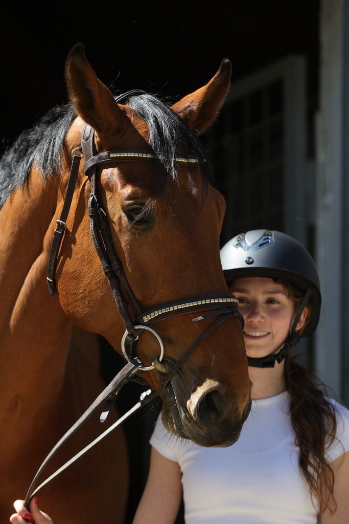 0P6A8693 | Willkommen bei Brunnmayr - Design & Fotografie – Ihrem Spezialisten für Reitturniere und Pferdeveranstaltungen in Oberösterreich, Salzburg und Bayern! Seit über 17 Jahren sind wir leidenschaftlich dabei.