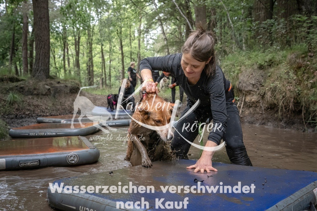 1222_ZZ98695T | kk-dogfotos