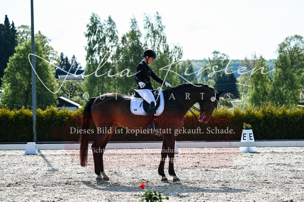 20230513_JK-Röhrsdorf-10-0131 | Pferde- und Turnierfotografie in Westsachsen. Pferdeportraits, Auftragszeichnungen und intuitive Kunst.