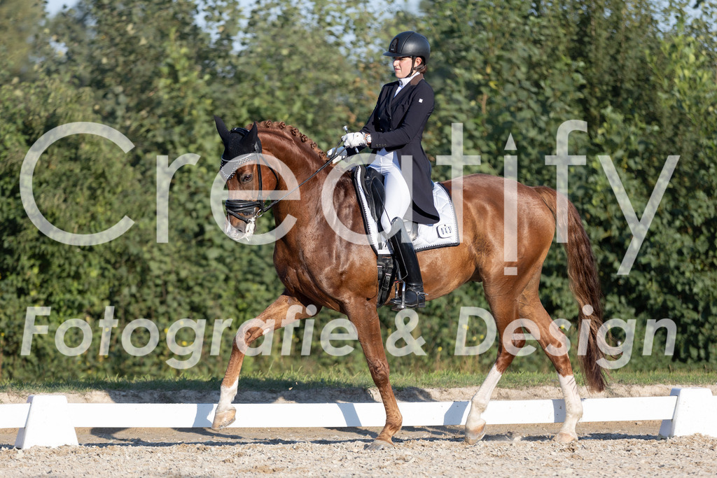 IMG_1349 | Creatify Fotografie