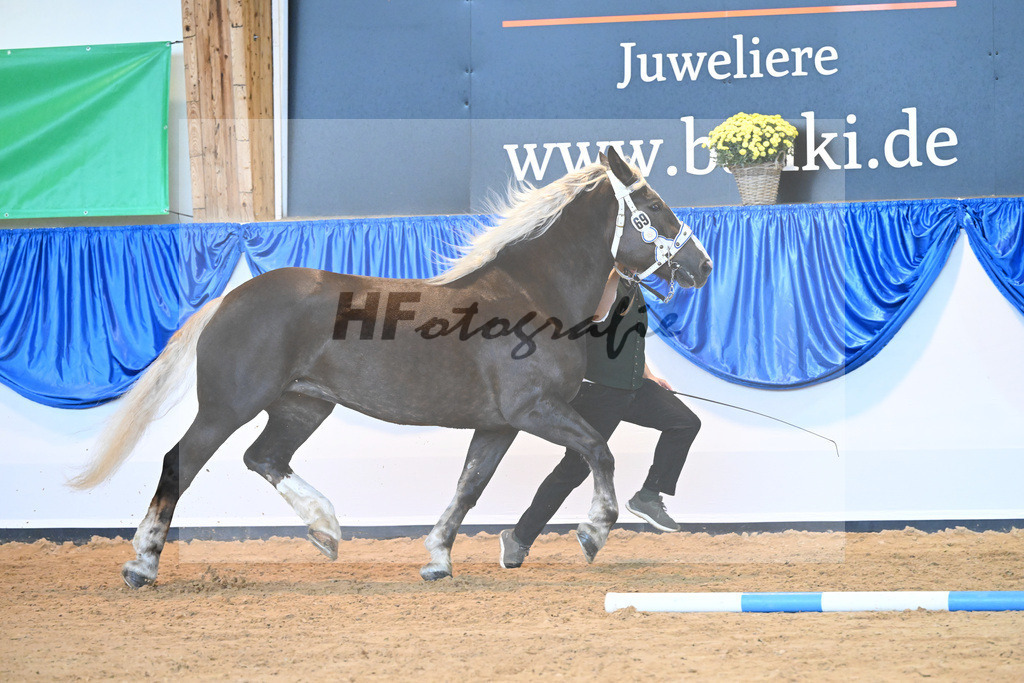 Kat-Nr. 69 Nevada_Bacher_53220276 | hf-fotografie - Realisiert mit Pictrs.com