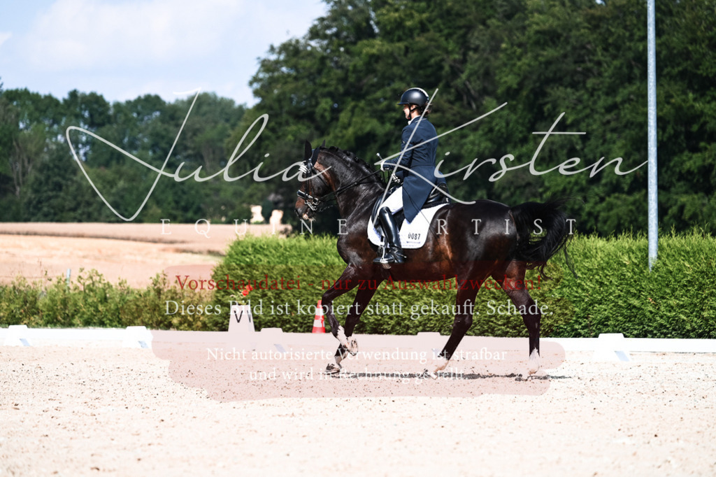 DSC_3323 | Pferde- und Turnierfotografie in Westsachsen. Pferdeportraits, Auftragszeichnungen und intuitive Kunst.