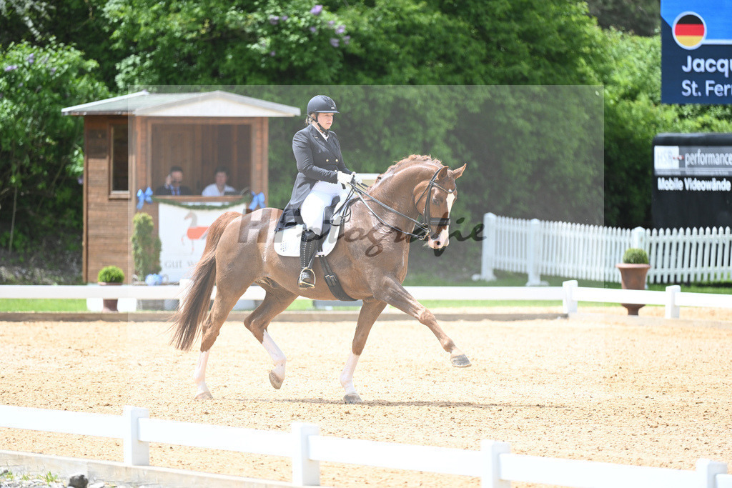 Fastner_St. Fernando_11233683 | hf-fotografie - Realisiert mit Pictrs.com