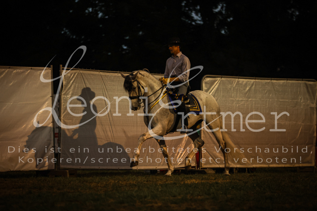 SaShow00283 | Leoni Ertmer Photography - Realisiert mit Pictrs.com