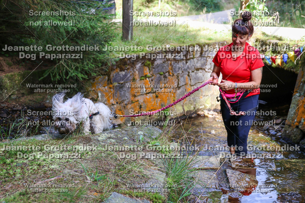 Dog Paparazzi -  TH 26-14 | Dog Paparazzi Jeanette Grottendiek Fotografie & Videografie - Realisiert mit Pictrs.com