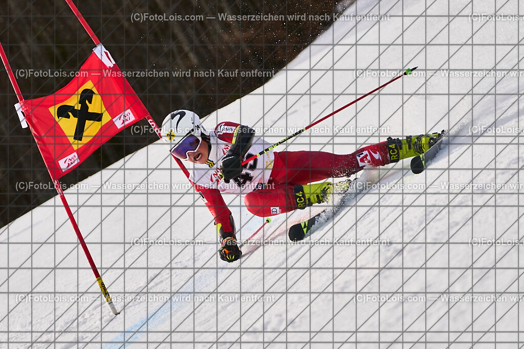 ALP8602_Herrn-FIS-GS-II_Lackenhof-WY_SAPL Julian | Internationaler FIS GiantSlalom der Herrn auf der Distelpiste in Lackenhof am Di 11. März 2025.  Österreich, LSV-NÖ, Sportunion Waidhofen/Ybbs (2035).