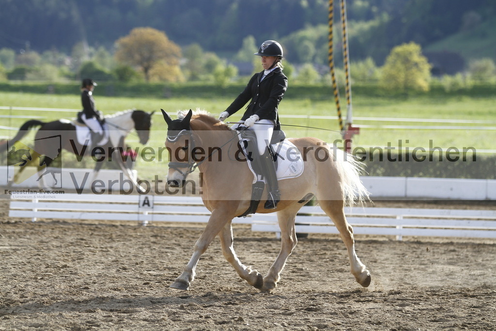 _MG_4303 | equestrian-live-com
