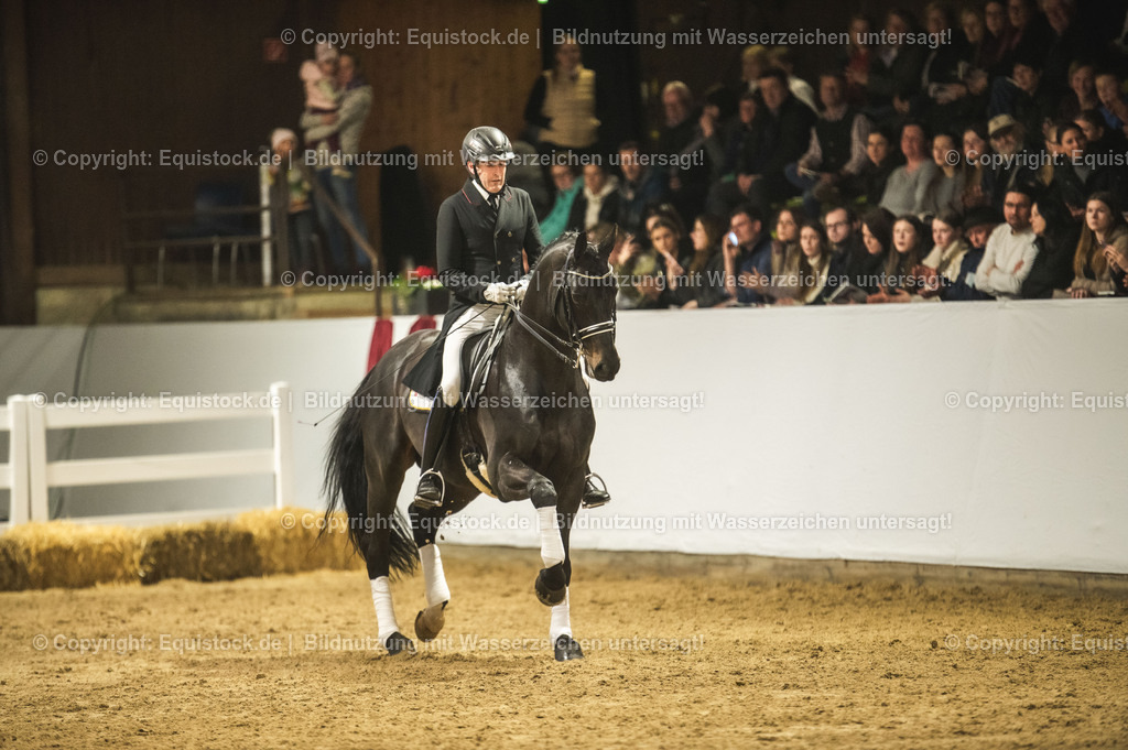 20240302_Hengstvorstellung_Marbach_TOMsPiC_1502 | equistock