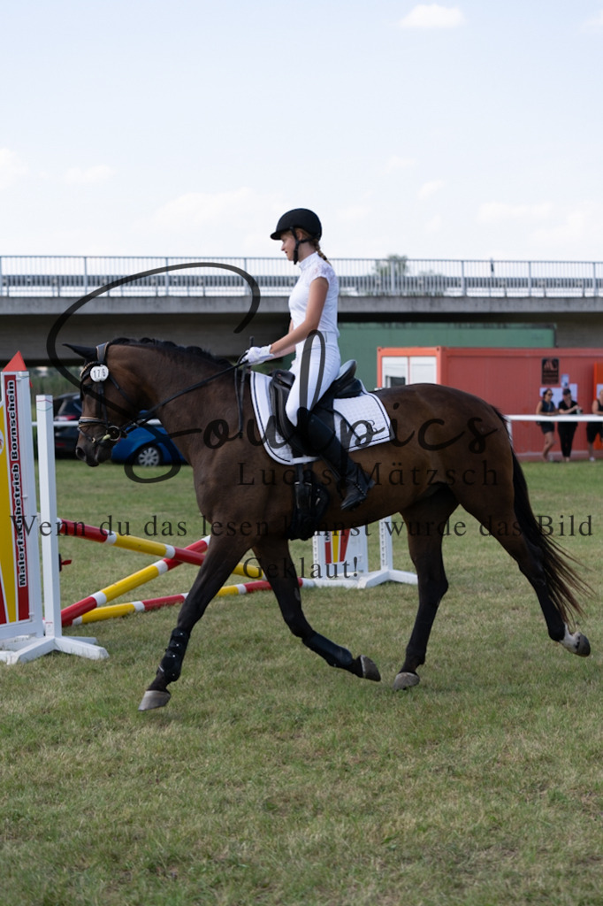 A7V00527 | Turnier/Reitfotograf