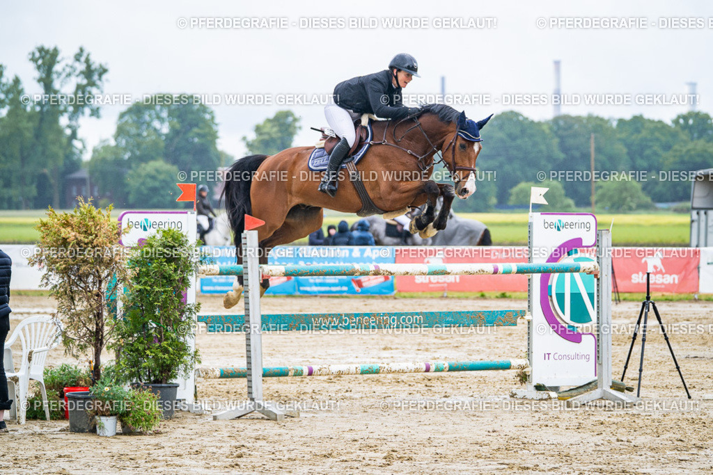 DSC03842 | Pferdegrafie