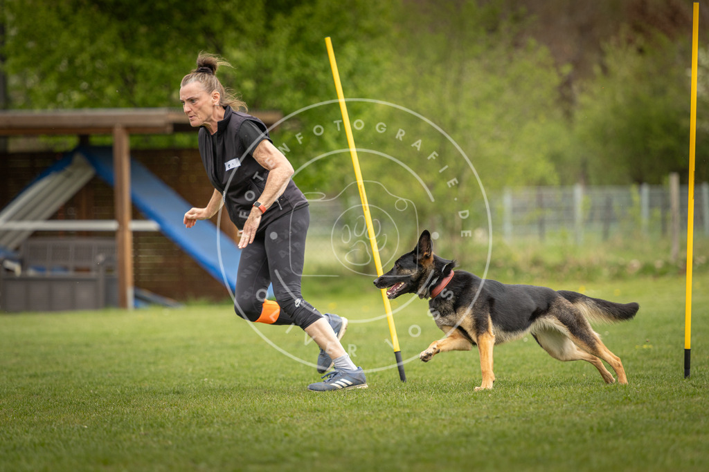 Pfotenfotografie_DV3A7493 | Hundefotografie, Tierfotograf, Pfotenfotografie, Fotoshooting Hund, Hunde Portrait, Hundesport, Hundeportraits, Heideshooting, Hunde, Sportfotograf, Hundefotograf, Turnierhundsport, THS,  - Realisiert mit Pictrs.com