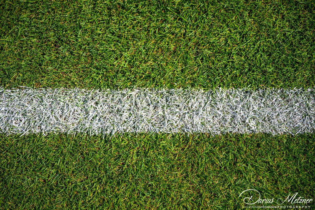 DSC_5651 | Fotografien, Fotos und Bilder aus Mainz, Frankfurt, Wiesbaden und anderen Orten auf der Welt - Fotografiert von Darius Metzner