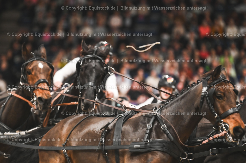 20241116_Fahren-Masterhorse_TOMsPiC_0143 | Foto: Thomas Hartig