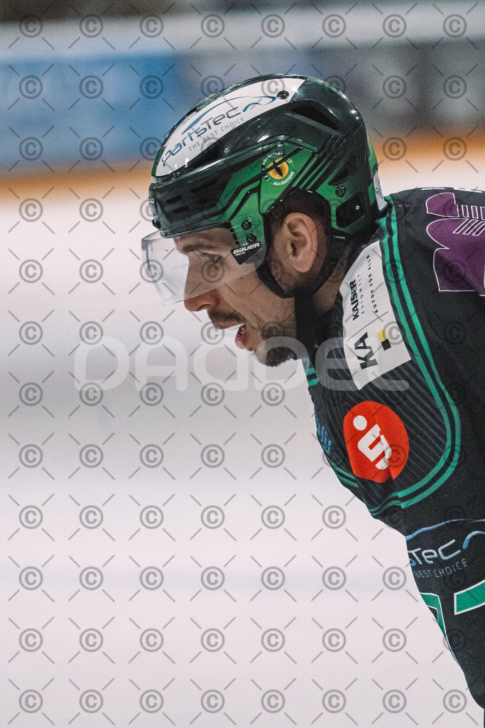 Alligators_vs_Erding_12_12_2025-133 | Höchstadt Alligators Fotogalerie: Eishockey-Action aus Franken. Professionelle Spielfotos, Portraits & Stadionbilder zum Download. Jetzt entdecken! - Realisiert mit Pictrs.com