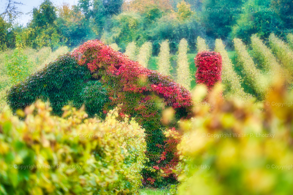 LHO07492 | wlstudio - Realisiert mit Pictrs.com