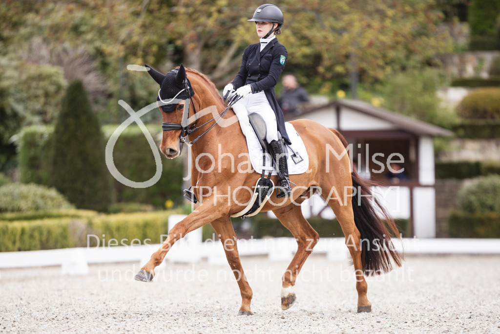 260412_Kronberg_S-Dressur-628 | Deine schönsten Turniermomente als professionelle Fotos! Entdecke hochwertige Pferdesport-Fotografie im Online-Shop. Jetzt Fotos finden & bestellen!