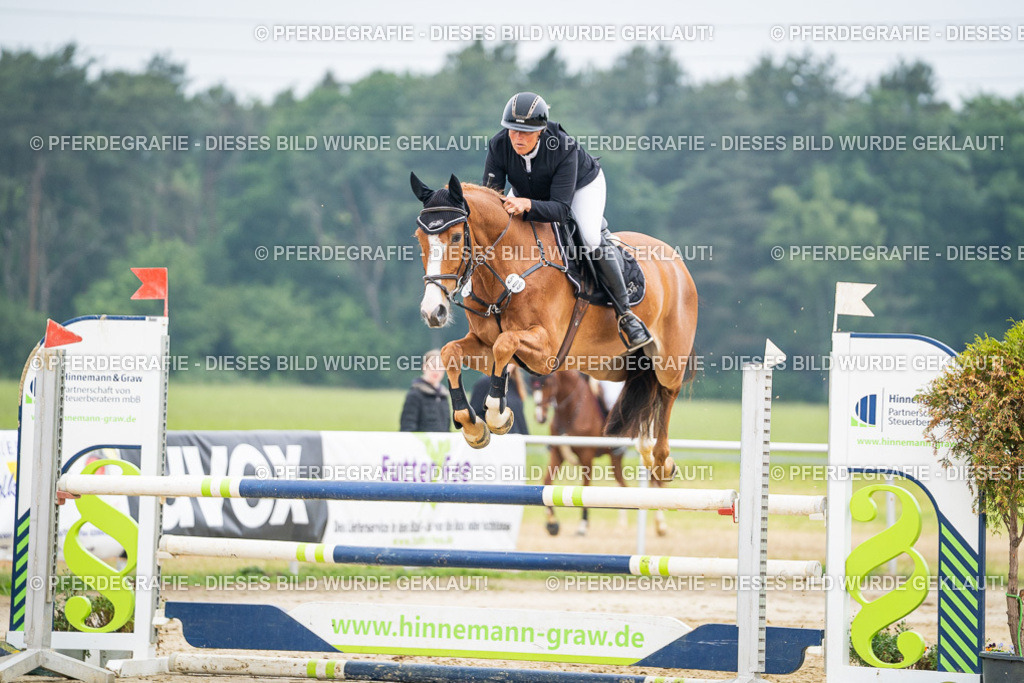 DSC00176 | Pferdegrafie