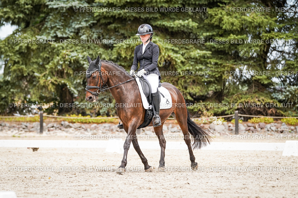 DSC04108 | Pferdegrafie