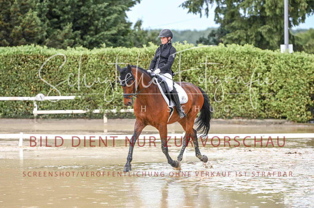 Schugtsche-Aluta25-54.Dressurprf.L1Trense-139 | Schugtsche Fotografie - Realizzato con Pictrs.com