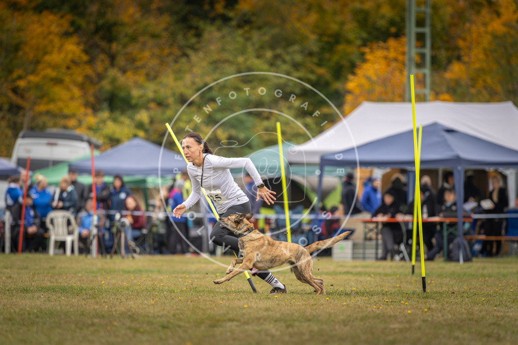 Pfotenfotografie_DV3A3926 | Hundefotografie, Tierfotograf, Pfotenfotografie, Fotoshooting Hund, Hunde Portrait, Hundesport, Hundeportraits, Heideshooting, Hunde, Sportfotograf, Hundefotograf, Turnierhundsport, THS,  - Realisiert mit Pictrs.com