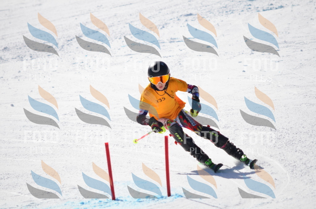 C9689 | holidayphoto