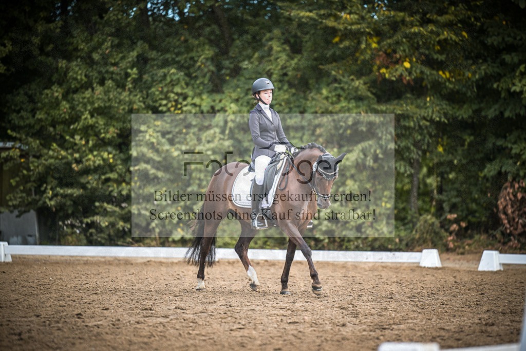 DOS_2187 | Entdecke hochwertige Reitturnierfotos von Foto Oger. Professionell, emotional und authentisch – jetzt Lieblingsmomente im Shop bestellen.Deutschlandweite Turnierfotografie. - Realisiert mit Pictrs.com