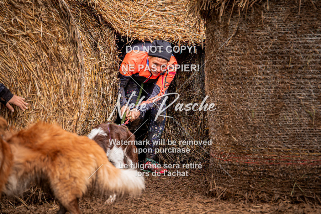 nelerasche_Hunsrück_So09-11_363 | nelerasche