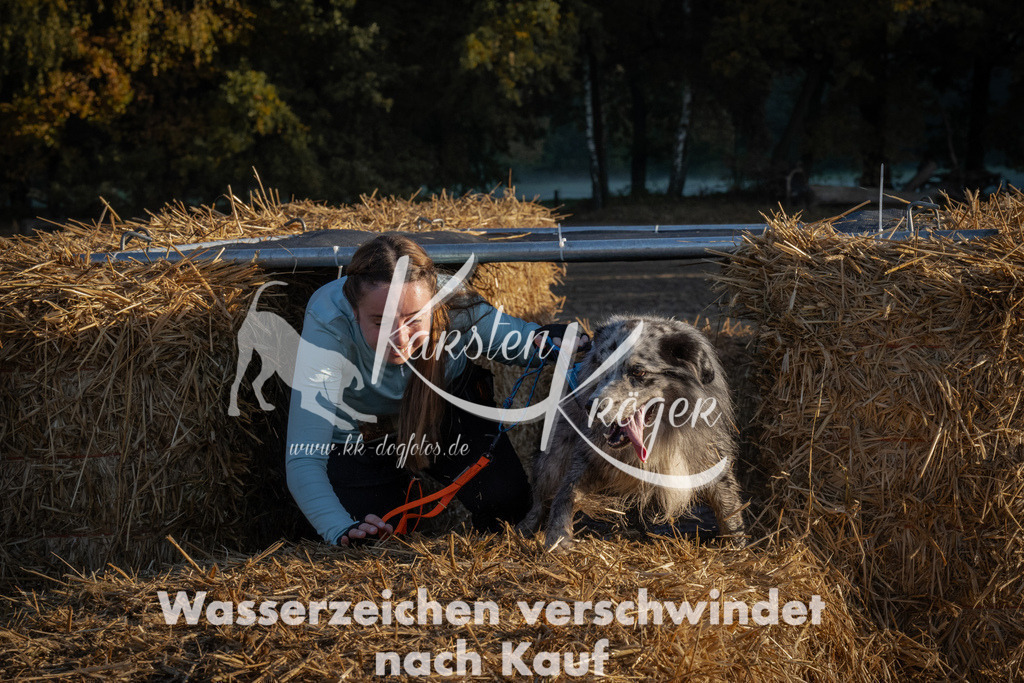 0927_ZZ93028 | kk-dogfotos