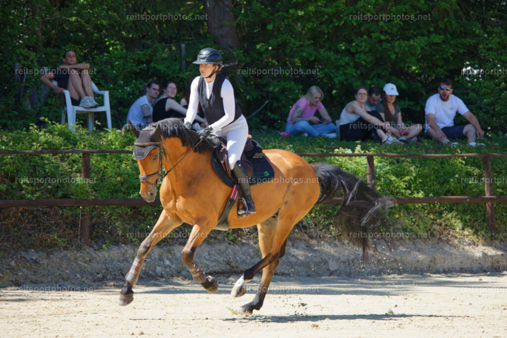 JHE_4571 | JoYa Fotografie - Realisiert mit Pictrs.com