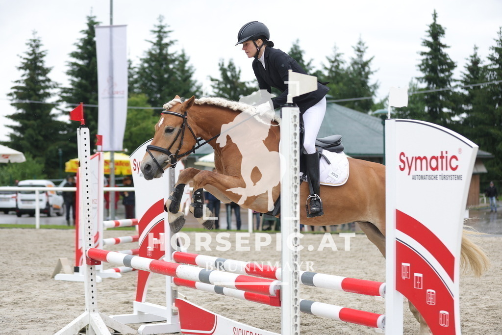 0P6A7961 | Willkommen bei Brunnmayr - Design & Fotografie – Ihrem Spezialisten für Reitturniere und Pferdeveranstaltungen in Oberösterreich, Salzburg und Bayern! Seit über 17 Jahren sind wir leidenschaftlich dabei.