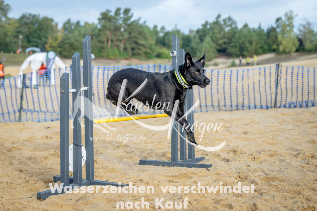 0903_ZZ91760 | kk-dogfotos