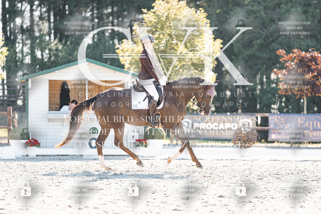 CK906607 | Turnierfotografie Pferdefotografie Trier Rheinland-Pfalz Pferdesport Reitsport Tierfotografie Sportfotografie Pferdevideo Pferdevideografie Equestrianvideography equestrianphotography  - Realisiert mit Pictrs.com
