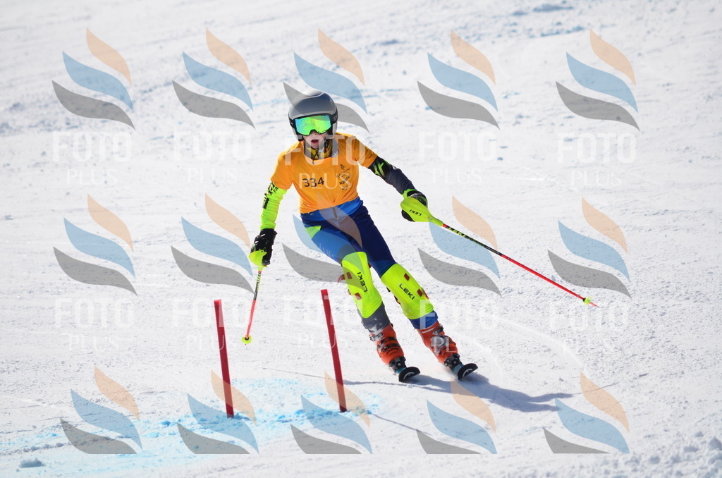 C9683 | holidayphoto