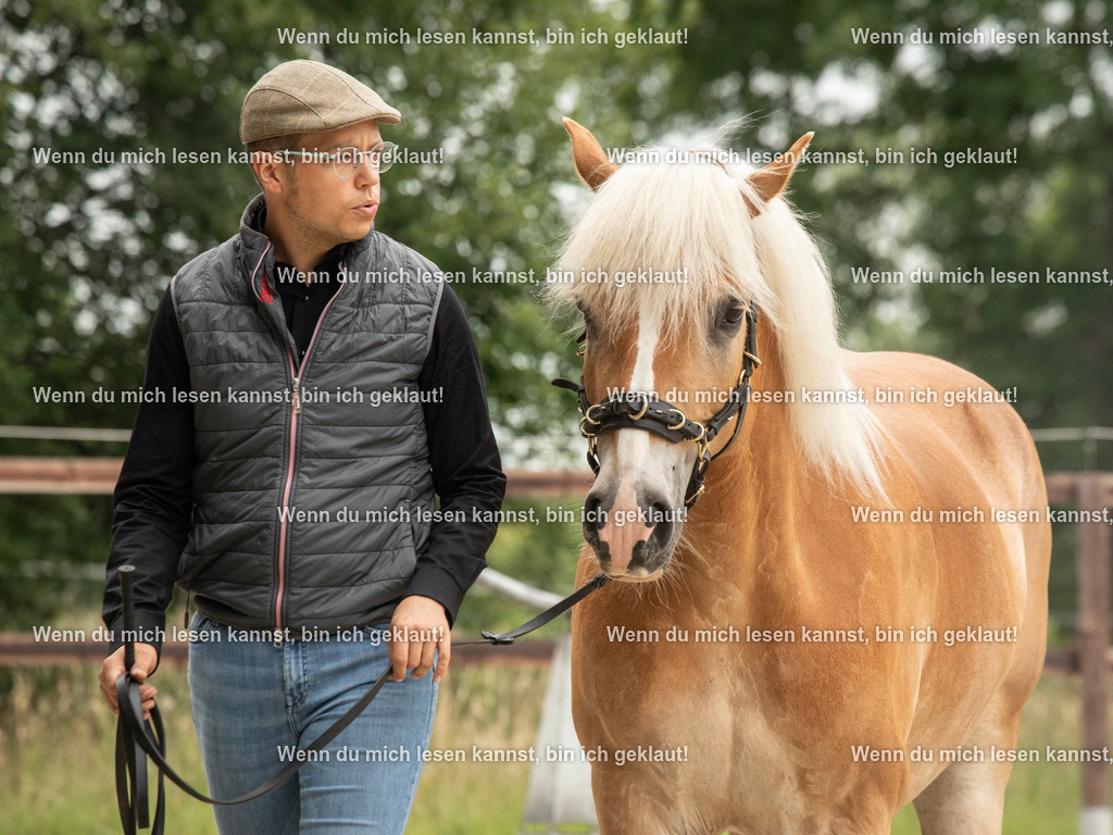 598A6378 | photographylinaismer - Realisiert mit Pictrs.com