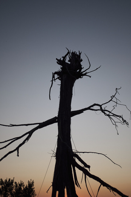 _DSF6800 copy-OzaraPT1 | blende43