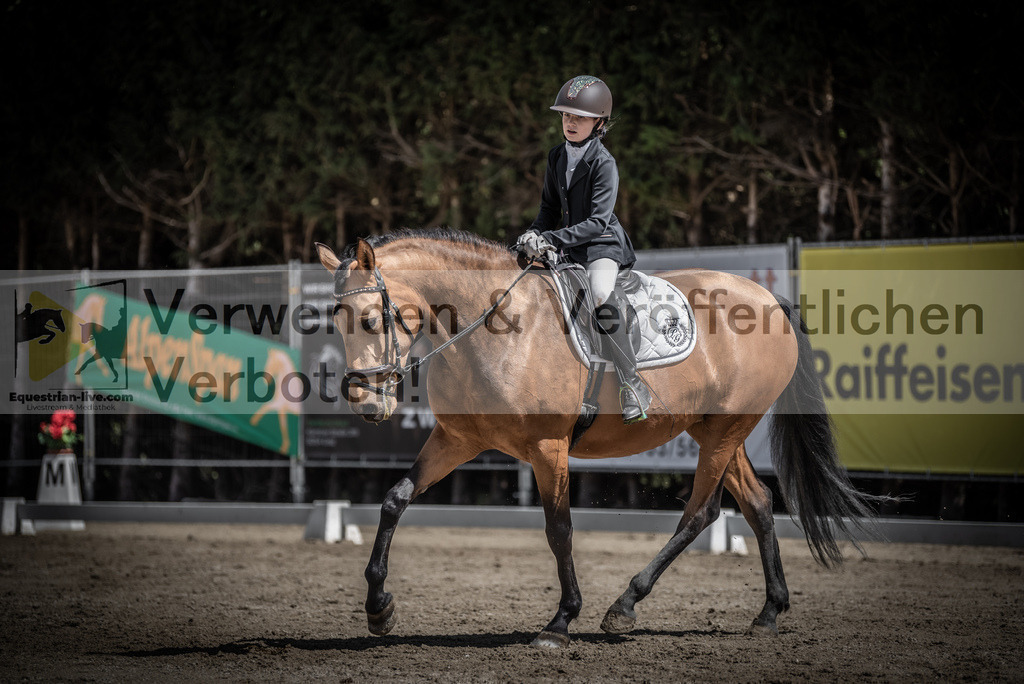 DSC_0911 | equestrian-live-com