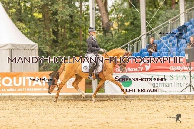 28-8-26 5j DRE-1110 | mandyhollmannphotographie