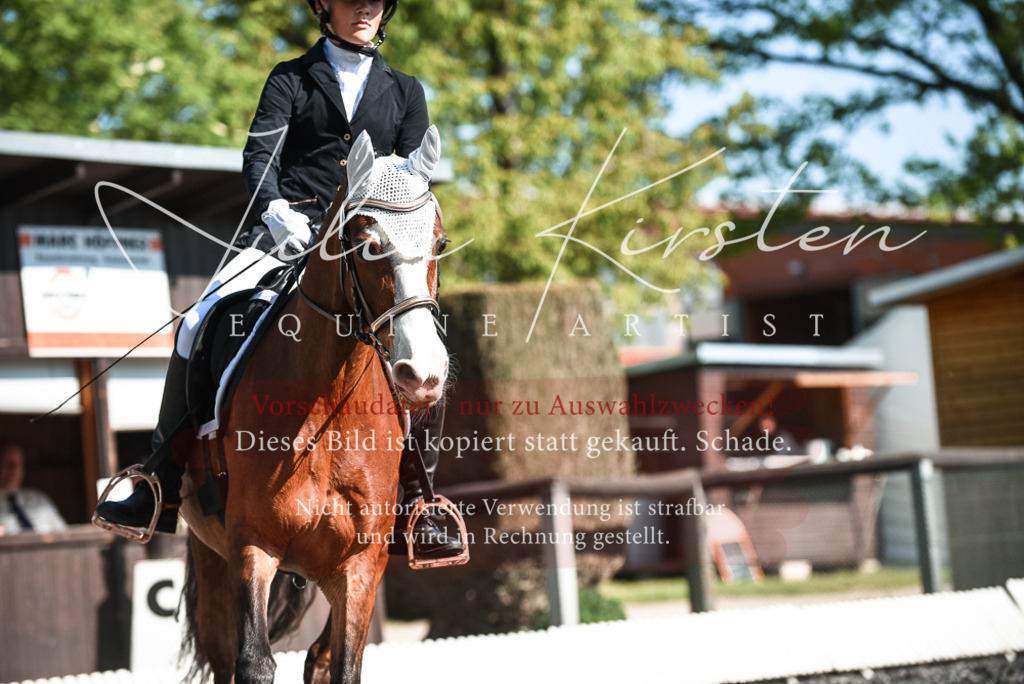 DSC_8714 | Pferde- und Turnierfotografie in Westsachsen. Pferdeportraits, Auftragszeichnungen und intuitive Kunst.
