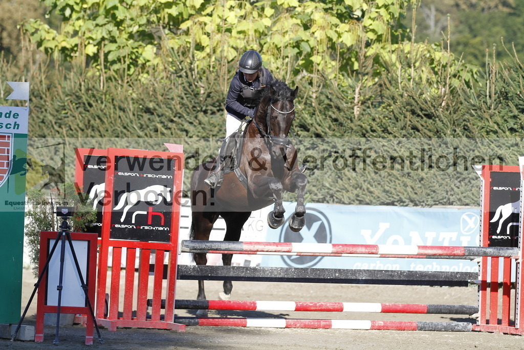 _MG_4378 | equestrian-live-com