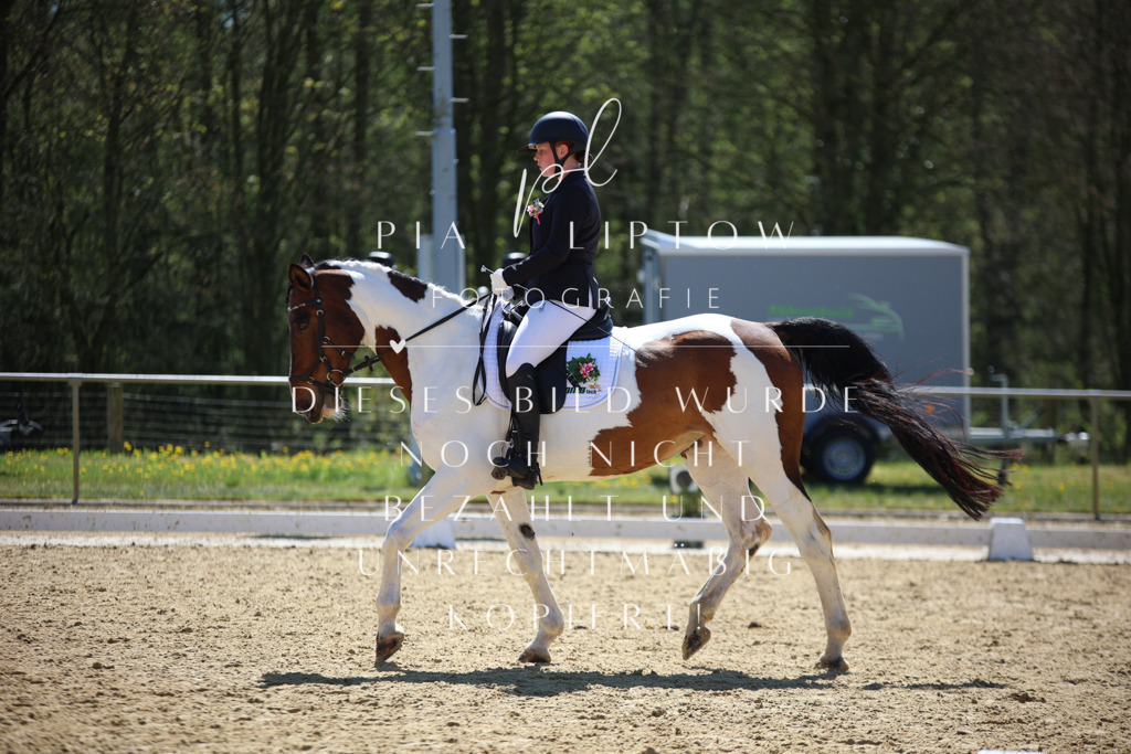 IMGT1236 | pl-fotografie