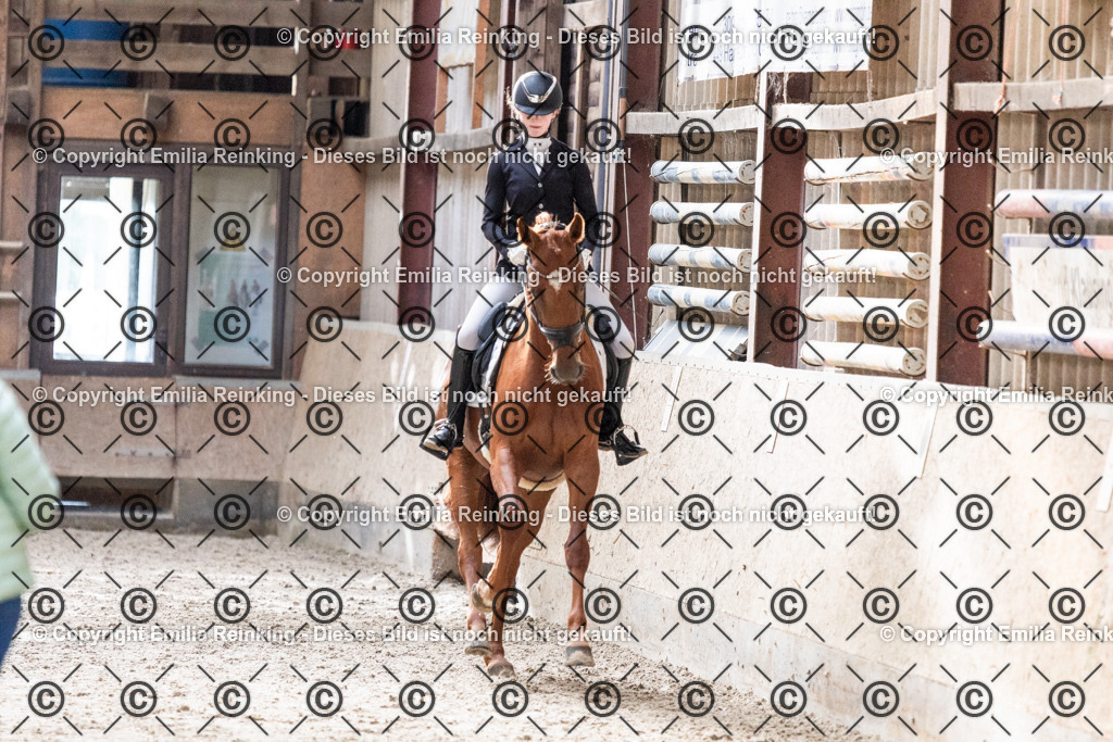 CL5A0341 | Emilia Reinking Fotografie - Realisiert mit Pictrs.com