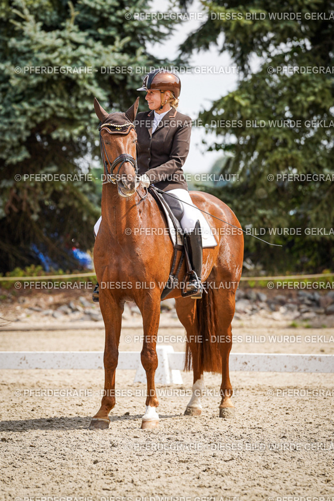 DSC09633 | Pferdegrafie