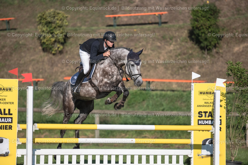 20230908_14-15_Springpferde-A_0012 | equistock