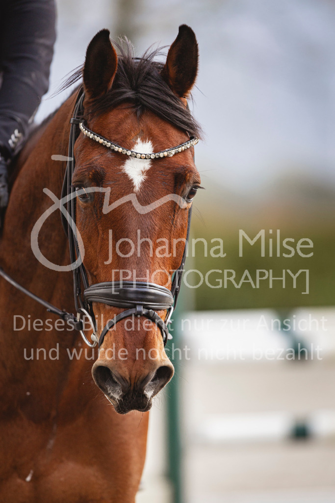 240424_Lemwerder_Stil-M-130 | Deine schönsten Turniermomente als professionelle Fotos! Entdecke hochwertige Pferdesport-Fotografie im Online-Shop. Jetzt Fotos finden & bestellen!