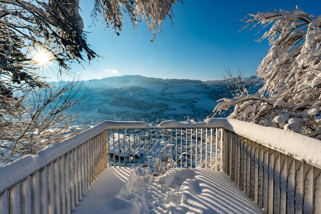 2023_12_03 A7C00581 | bridgeman - Realisiert mit Pictrs.com