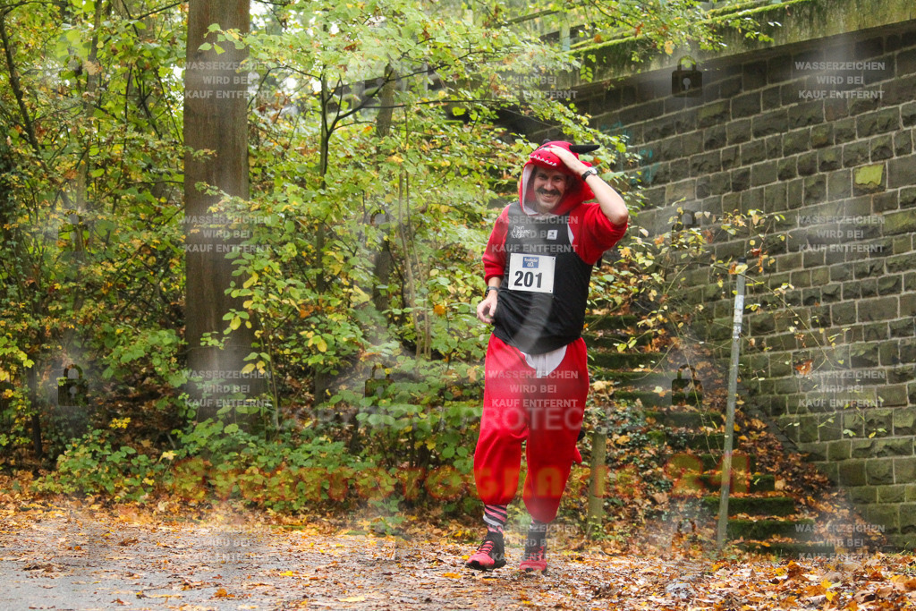 241027_1205_EV4_6167 | Sportfotografie im Rhein-Sieg Kreis, Köln, Bonn, NRW, Rheinland Pfalz, Hessen, etc. Unser Tätigkeitsfeld umfasst den Laufsport vom Volkslauf über den Marathon, Duathlon, Triathon bis zum Ultralauf wie Kölnpfad Ultra oder Schindertrail.