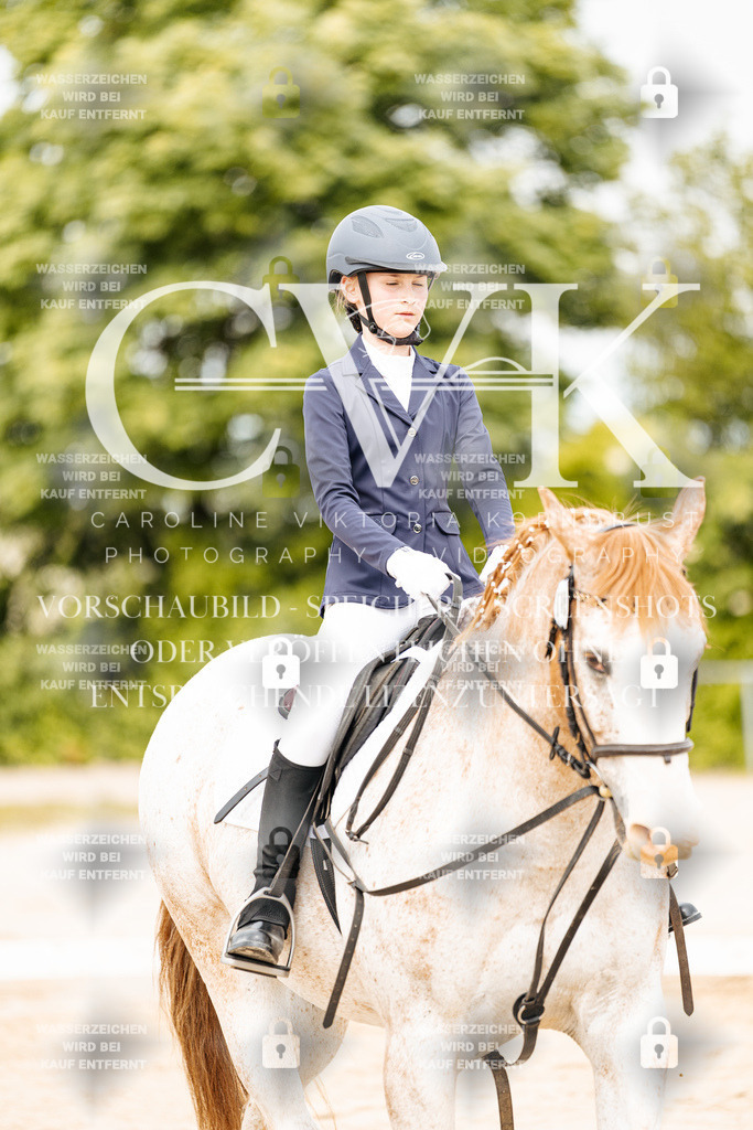 CK904400 | Turnierfotografie Pferdefotografie Trier Rheinland-Pfalz Pferdesport Reitsport Tierfotografie Sportfotografie Pferdevideo Pferdevideografie Equestrianvideography equestrianphotography  - Realisiert mit Pictrs.com