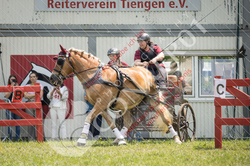 IMG_8487 | Sport-, Event- und Tierfotos in Profiqualität. Einfach auswählen, bestellen und herunterladen. Dein Moment – perfekt festgehalten.
